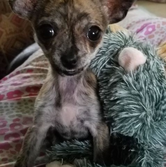 Meet your Posher, Colleen - Picture 1 of 1